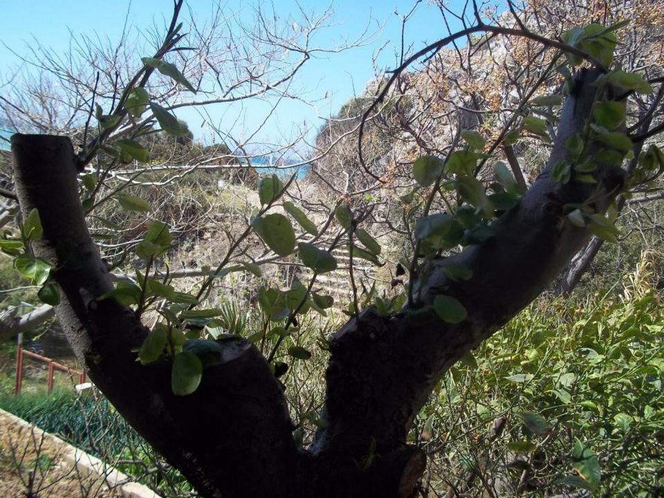 Dionyssos Rooms Preveli Crete Exterior foto